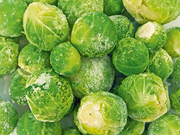Rosenkohl