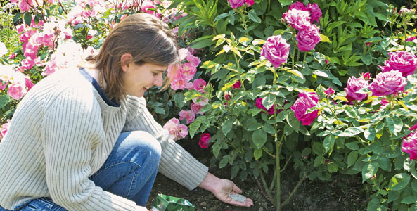 Herbstdüngung schon im August