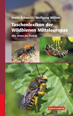 Taschenlexikon der Wildbienen Mitteleuropas