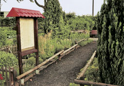Ehemaliger Kleingarten im KGV 