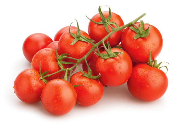 Gekühlte Tomaten schmecken nicht