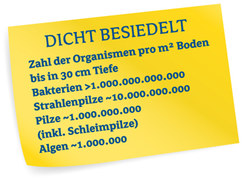 DICHT BESIEDELT