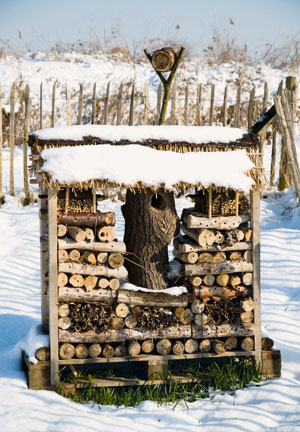 Insektenhotels als WInterquartiere