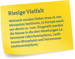 Moosarten