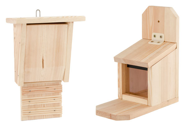 Fledermauskasten und Eichhörnchenfutterautomat