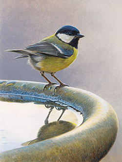 Vogeltränke im Winter