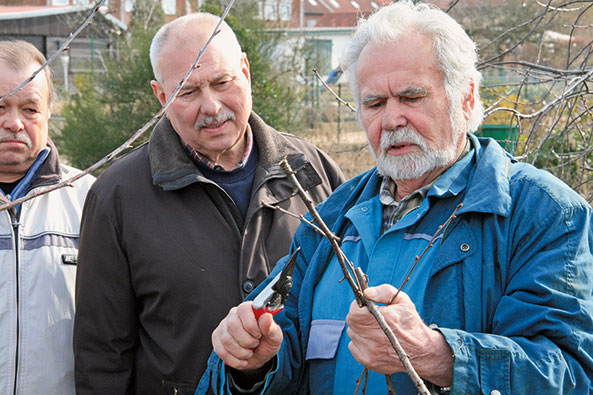 Fach­berater fragen