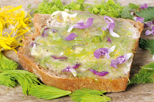 Honigbrot