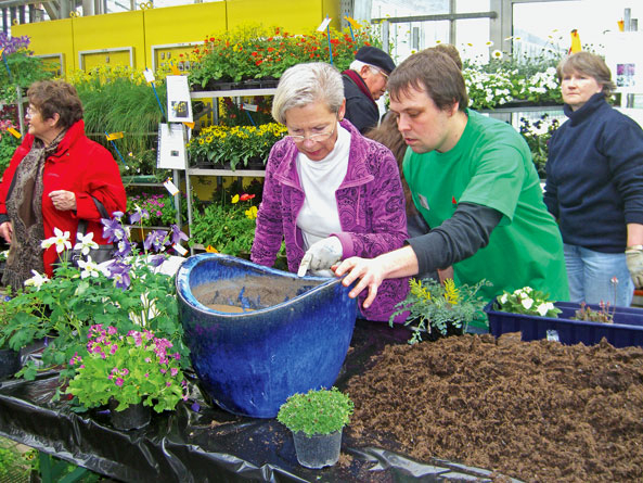 die Auswahl an Blumenerden ist groß