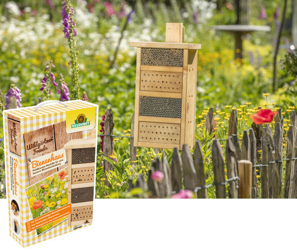 Ein Nistplatz für Wildbienen