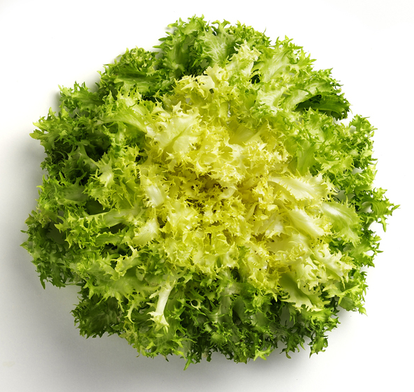 Endivien Salat