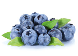 Gartenheidelbeeren
