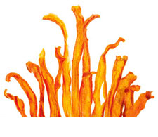 Gemüsechips