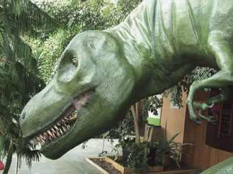 Tyrannosaurus Rex