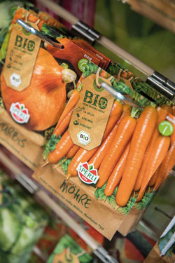 Bio Möhre