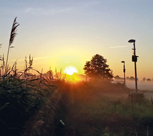 natürliche Lichtquelle