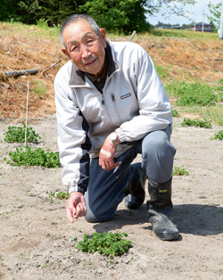 Shigo Obara