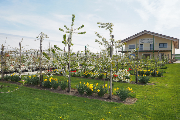 Bayerisches Obstzentrum