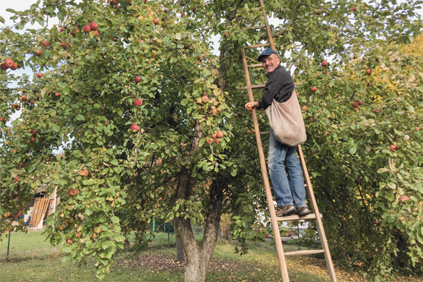 Arbeiten auf der Leiter