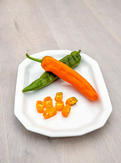 Bio-Paprika ‘Kyra’ Bio-Paprika ‘Kyra’