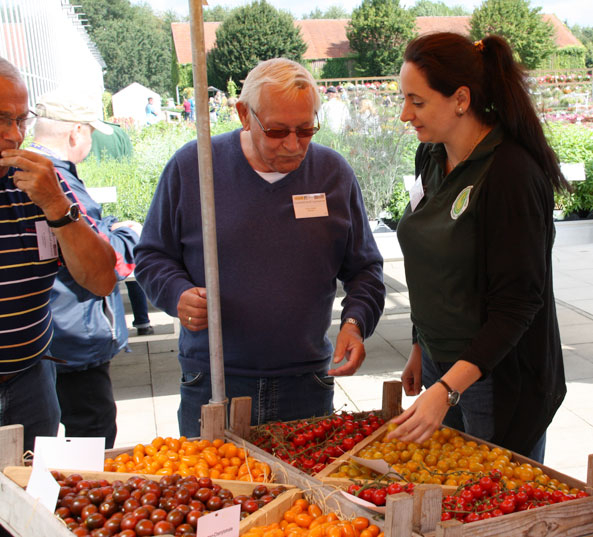 Tomatensorten