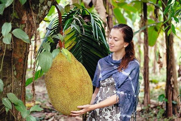 Größte Frucht der Welt