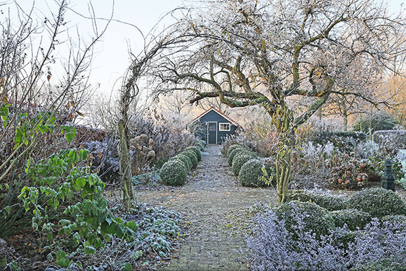 Garten im Winter