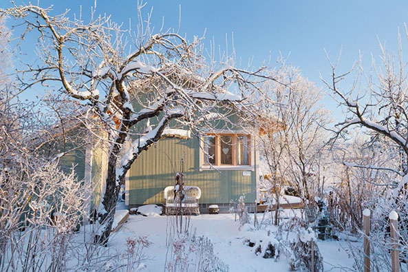 Kleingarten im Winter