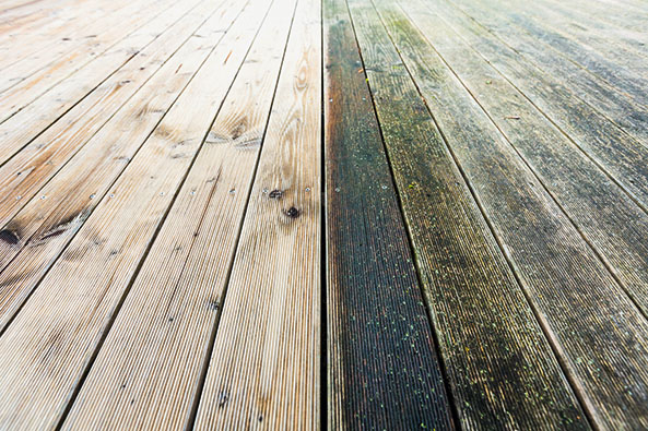 Holzterrasse reinigen