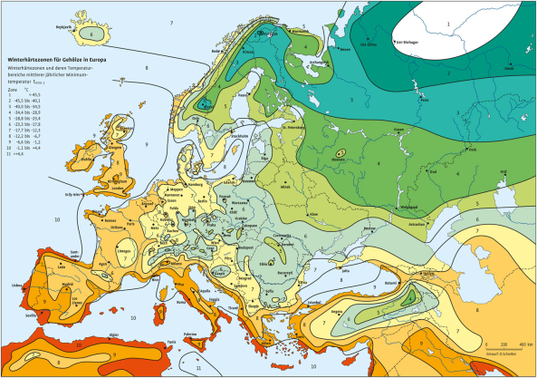Winterhärtezonen für Gehölze in Europa