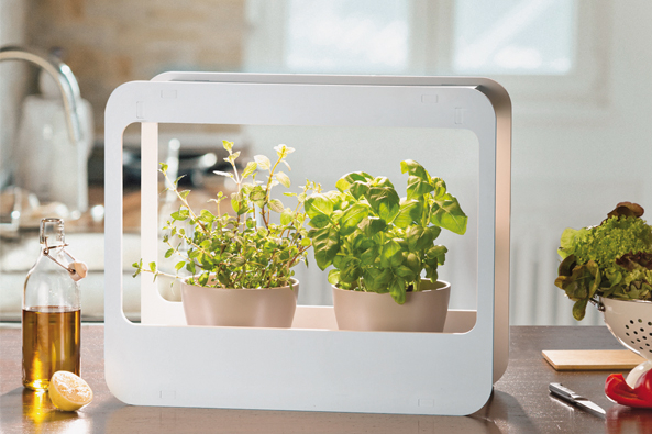 Mini Garten