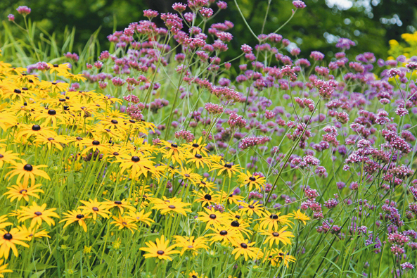 Buntige Blumen