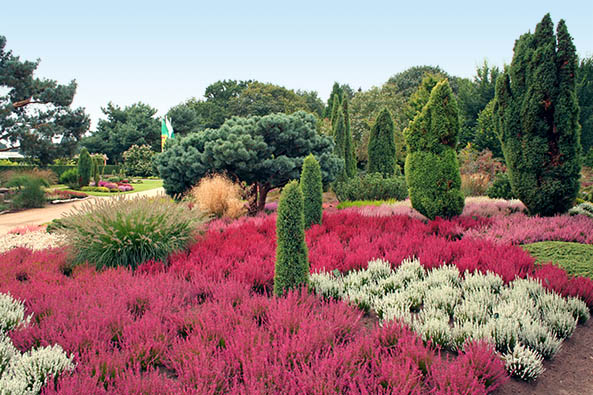 Heidegarten im Park der Gärten