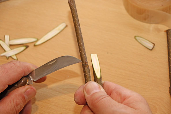 einkürzen