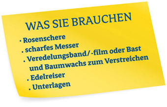 Was Sie brauchen