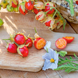 Litschi-Tomate
