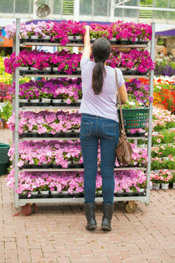 Gartencenter