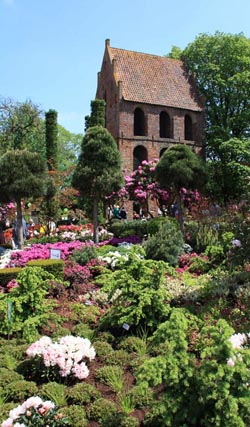 Mit Nadelgehölzen wird die bergige Heimat des Rhododendron nachempfunden