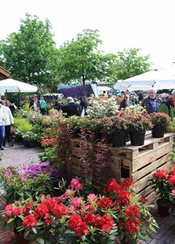 Pflanzenmarkt