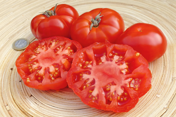 Fleischtomate