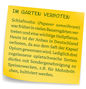 Verboten!