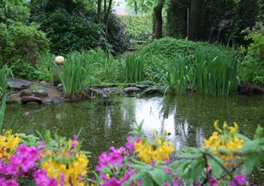 Gartenteich