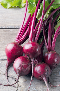 Baby Beets