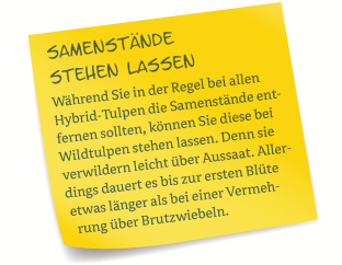 Samenstände stehen lassen!