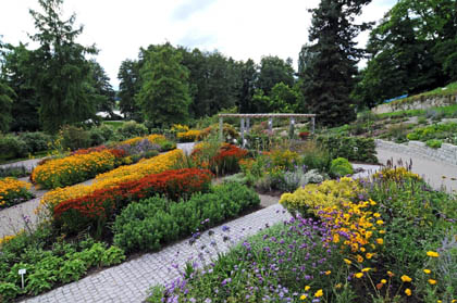 Der Staudengarten