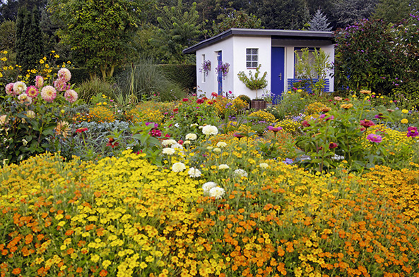 Bienenfreundlicher Kleingarten