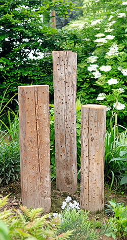Alte Holzbalken
