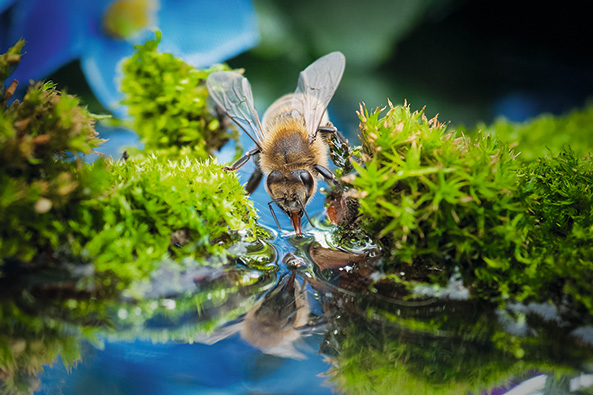 Wasserstellen
