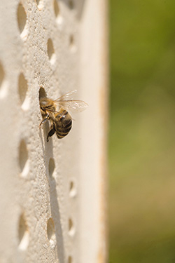 Wildbienenhaus von Denk Keramik