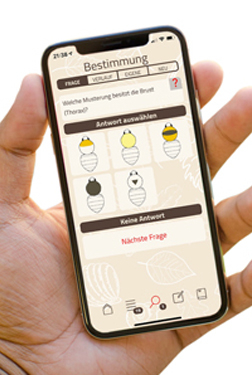 Hummel-App
